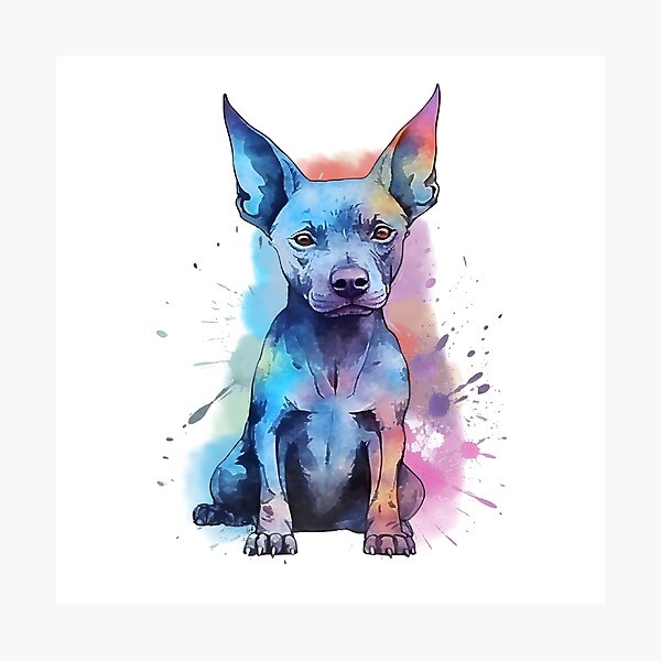 Item preview, Xoloitzcuintli | Diseño colorido en acuarela #9 designed and sold by MatsurexDesigns.