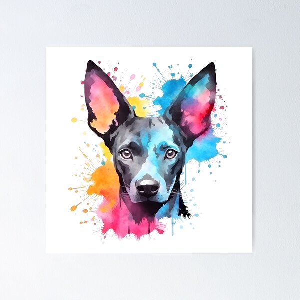 Item preview, Xoloitzcuintli | Diseño colorido en acuarela #11 designed and sold by MatsurexDesigns.