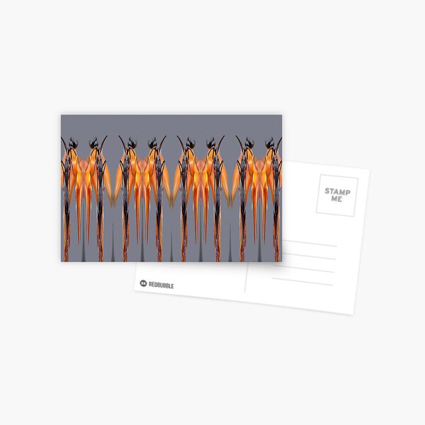 Orange Dancing Ladies by Avril Thomas - Adelaide Artist Postcard