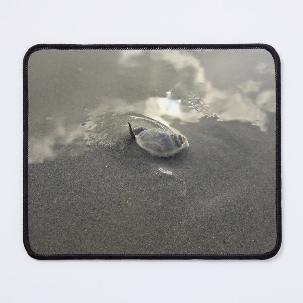 Item preview, Snail designed and sold by Daniela110.