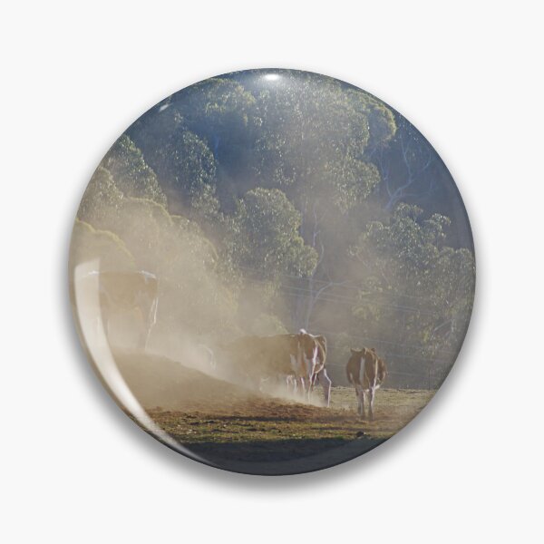 Item preview, Cows Lining Up Begin Play designed and sold by Joy Watson - Natural Light Photography .