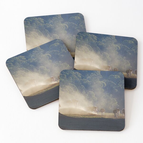 Item preview, Cows Lining Up Begin Play designed and sold by Joy Watson - Natural Light Photography .