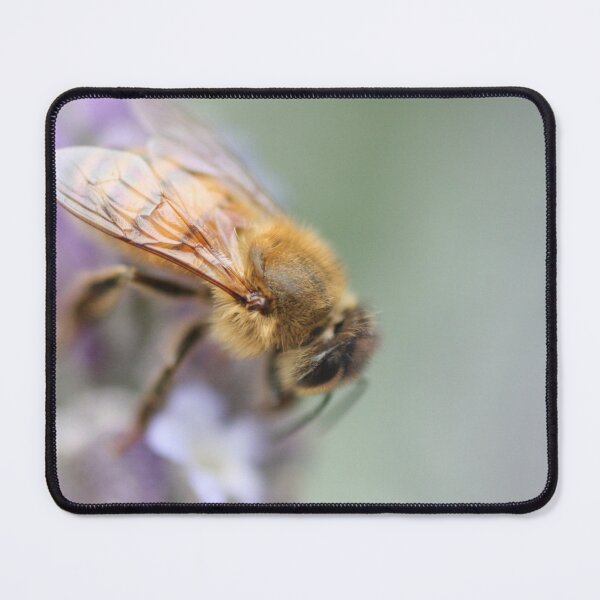 Item preview, Soft on Bees designed and sold by Joy Watson - Natural Light Photography .