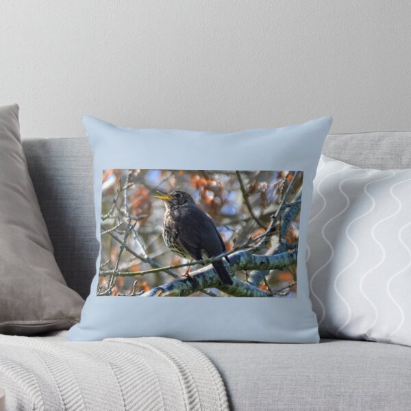Item preview, Sweet Songbird ......... designed and sold by lynn carter.