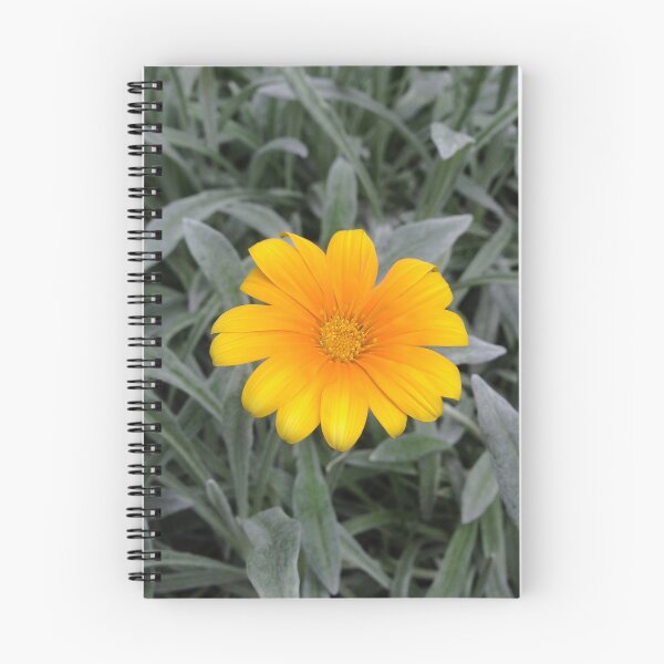 Artikelvorschau, Gelbe Gazania-Blume entworfen und verkauft von NDMD.