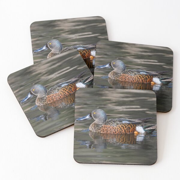 Item preview, Male Australasian Shoveler Duck designed and sold by Jan Fijolek.