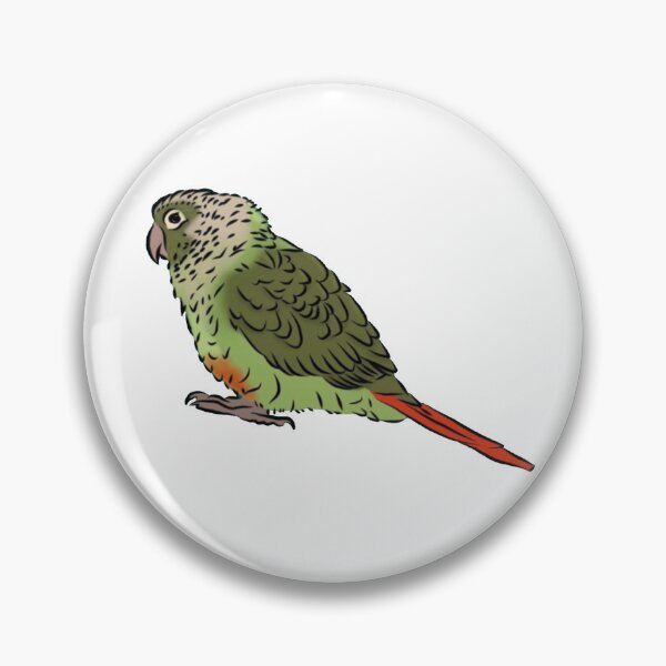 Item preview, Green Cheek conure designed and sold by Zoracrafts.