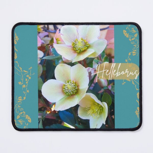 Item preview, Helleborus designed and sold by Sisyset.
