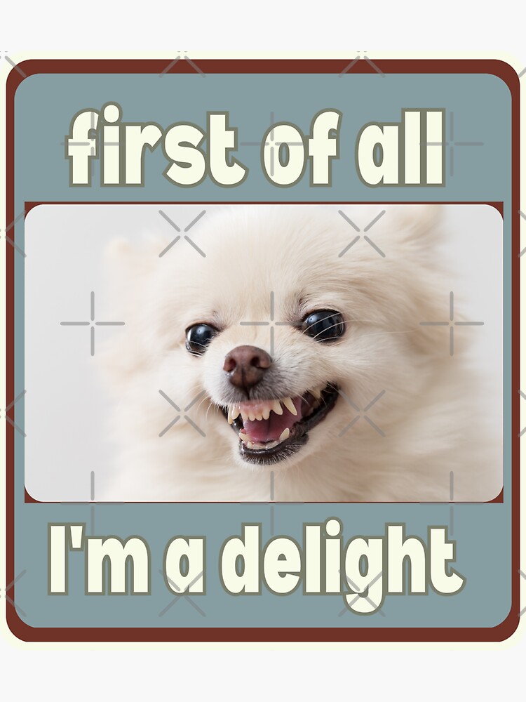 First of All, I'm a Delight Funny Dog Meme