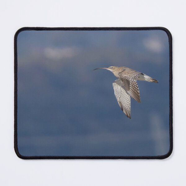 Item preview, Curlew designed and sold by LaurenTucker.