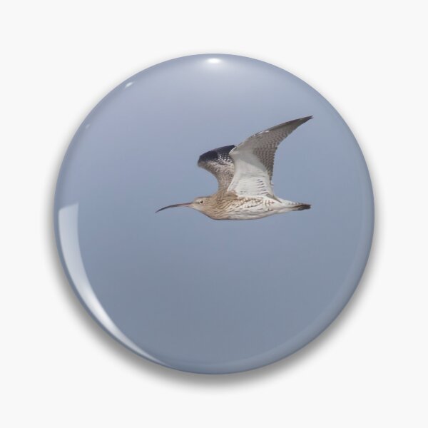 Item preview, Curlew designed and sold by LaurenTucker.
