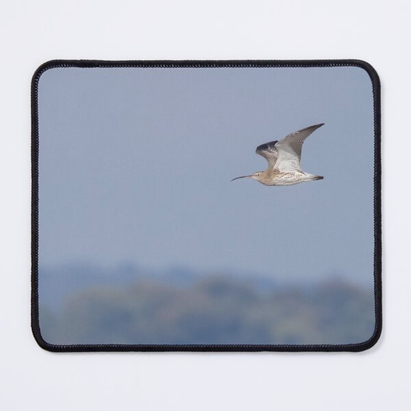 Item preview, Curlew designed and sold by LaurenTucker.