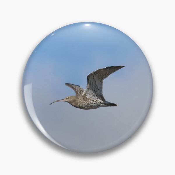 Item preview, Curlew designed and sold by LaurenTucker.