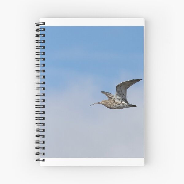 Item preview, Curlew designed and sold by LaurenTucker.
