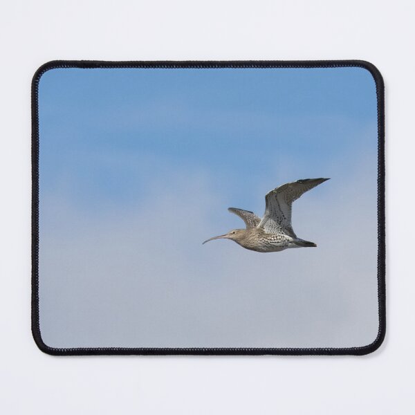 Item preview, Curlew designed and sold by LaurenTucker.