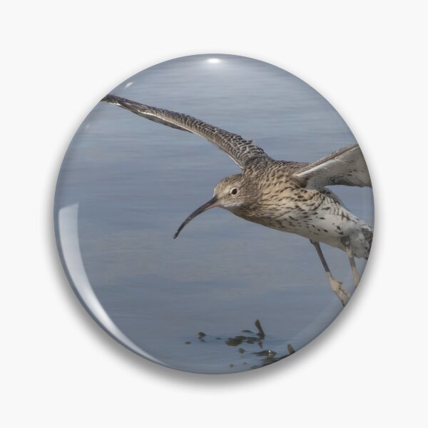 Item preview, Curlew designed and sold by LaurenTucker.