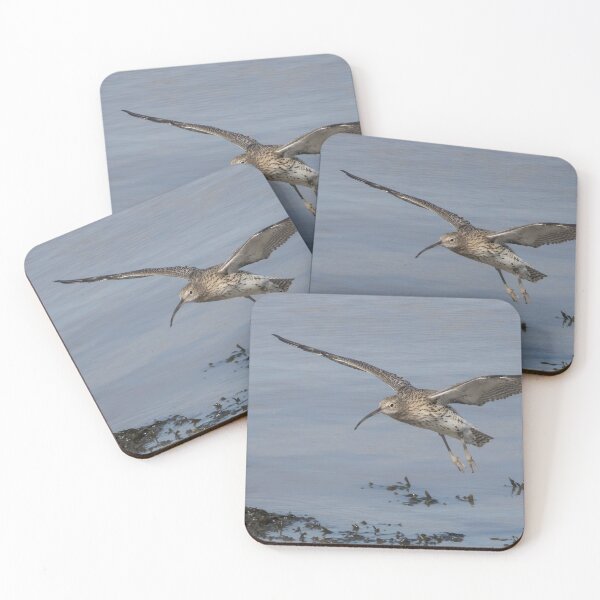 Item preview, Curlew designed and sold by LaurenTucker.