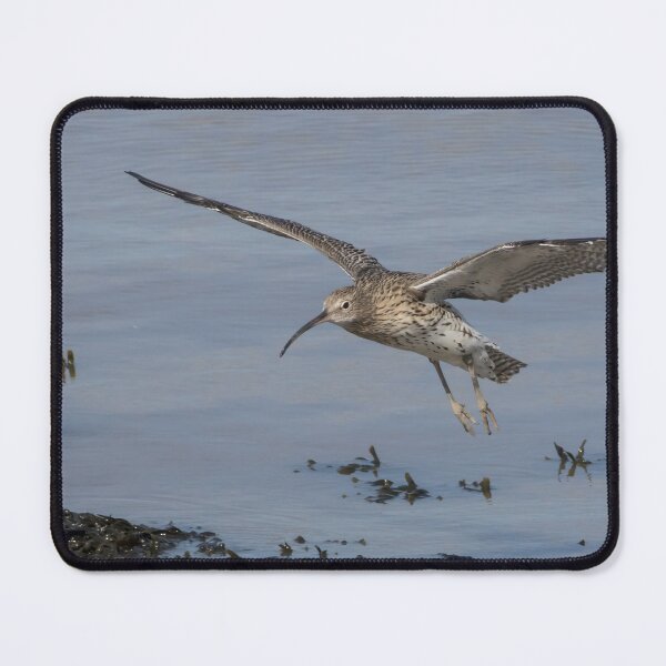 Item preview, Curlew designed and sold by LaurenTucker.