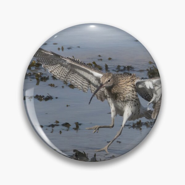 Item preview, Curlew designed and sold by LaurenTucker.