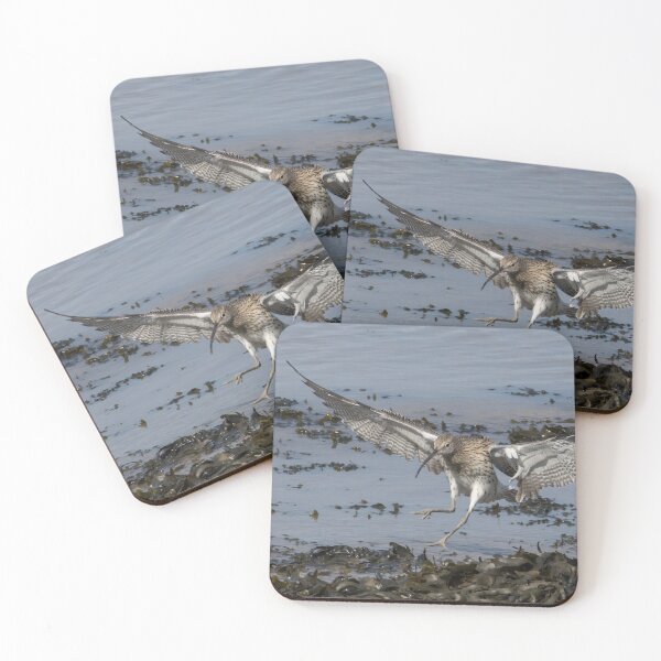 Item preview, Curlew designed and sold by LaurenTucker.