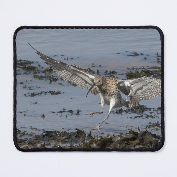 Item preview, Curlew designed and sold by LaurenTucker.