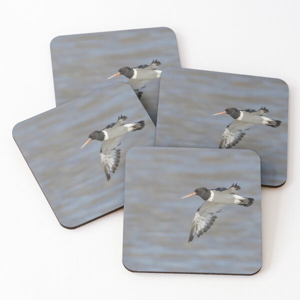 Item preview, Oystercatcher designed and sold by LaurenTucker.