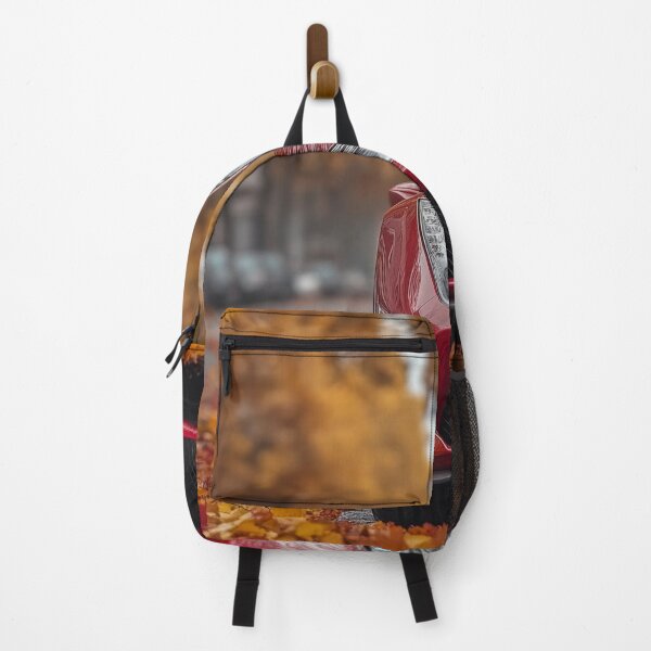 Item preview, A red sports car is parked on a leaf-covered street, surrounded by autumn trees in a serene urban setting. designed and sold by Jerhus.