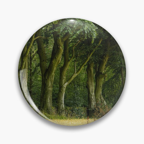 Item preview, Beech trees at Upper Moor, Derbyshire Dales. designed and sold by RobThorley.