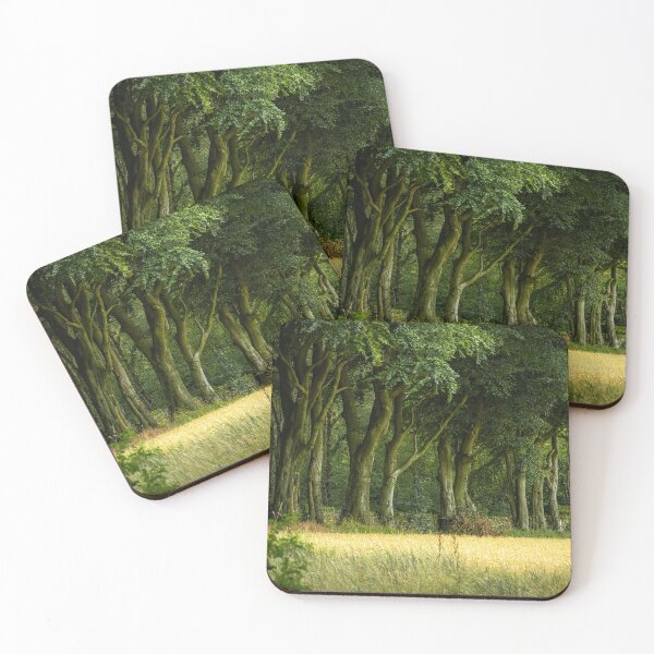 Item preview, Beech trees at Upper Moor, Derbyshire Dales. designed and sold by RobThorley.