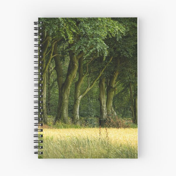 Item preview, Beech trees at Upper Moor, Derbyshire Dales. designed and sold by RobThorley.