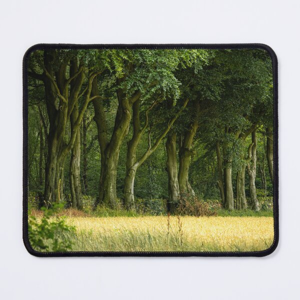 Item preview, Beech trees at Upper Moor, Derbyshire Dales. designed and sold by RobThorley.