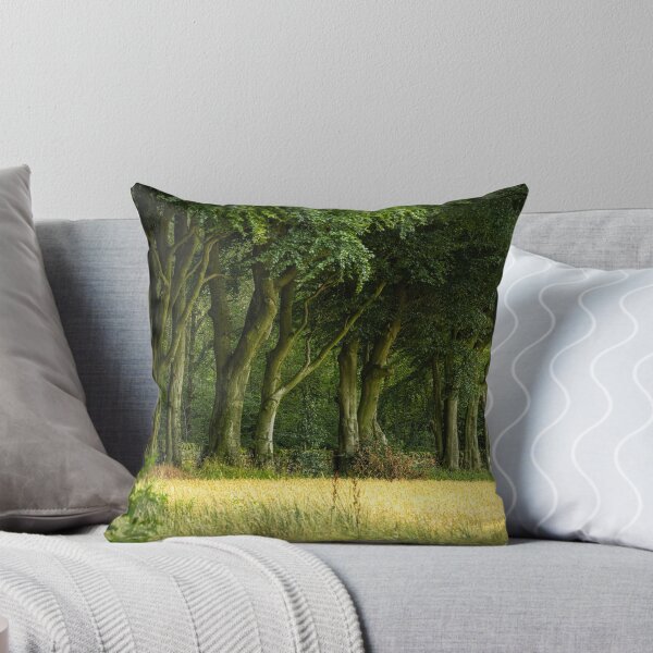 Item preview, Beech trees at Upper Moor, Derbyshire Dales. designed and sold by RobThorley.