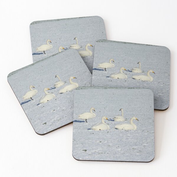 Item preview, Whooper Swans Donegal Ireland Snow designed and sold by eddiebarronshop.