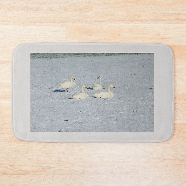Item preview, Whooper Swans Donegal Ireland Snow designed and sold by eddiebarronshop.