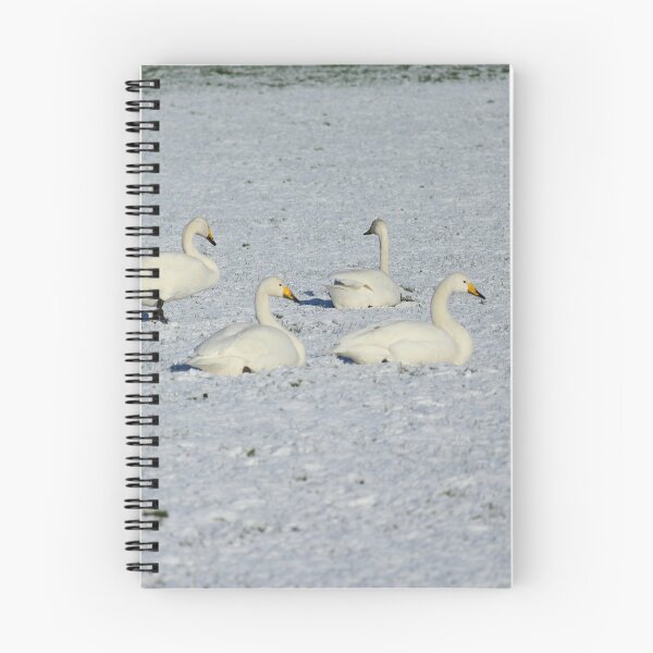 Item preview, Whooper Swans Donegal Ireland Snow designed and sold by eddiebarronshop.