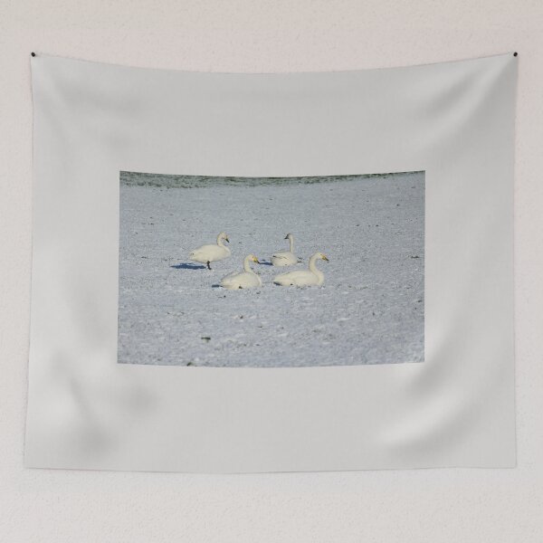 Item preview, Whooper Swans Donegal Ireland Snow designed and sold by eddiebarronshop.
