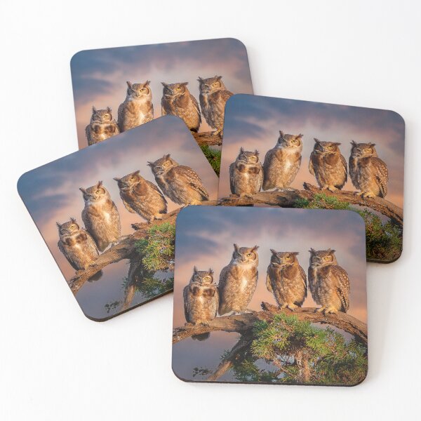 Item preview, The four owls designed and sold by AGaymard.