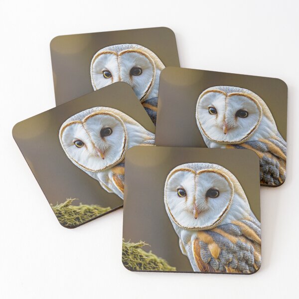 Item preview, The owl, the portrait designed and sold by AGaymard.