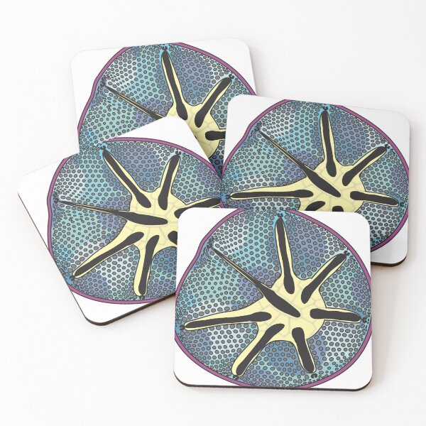 Item preview, Asteromphalus (Color, No Text) designed and sold by DiatomsATTACK.