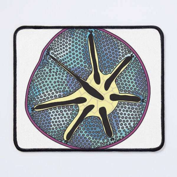 Item preview, Asteromphalus (Color, No Text) designed and sold by DiatomsATTACK.
