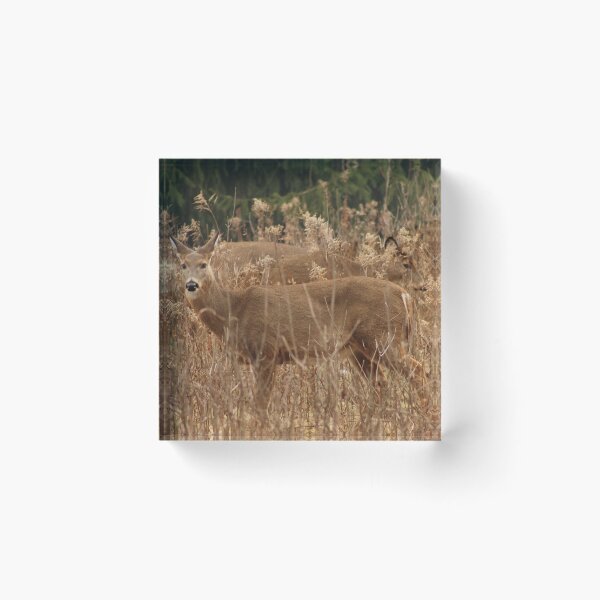 Item preview, Camouflage designed and sold by AmazingAmanda42.