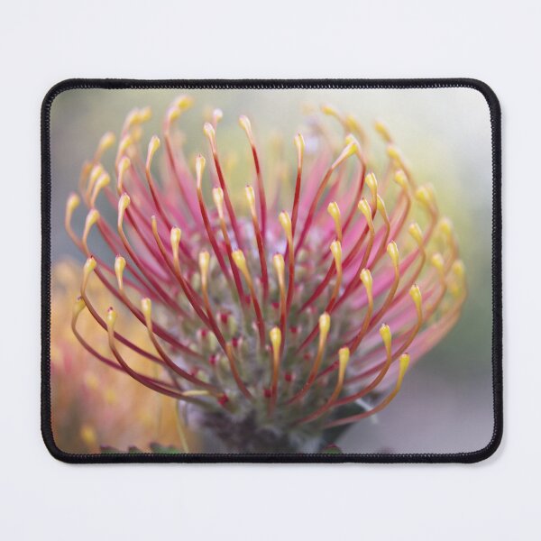 Item preview, Bright and Beautiful Luecospermum Patersonii designed and sold by imaginethis.