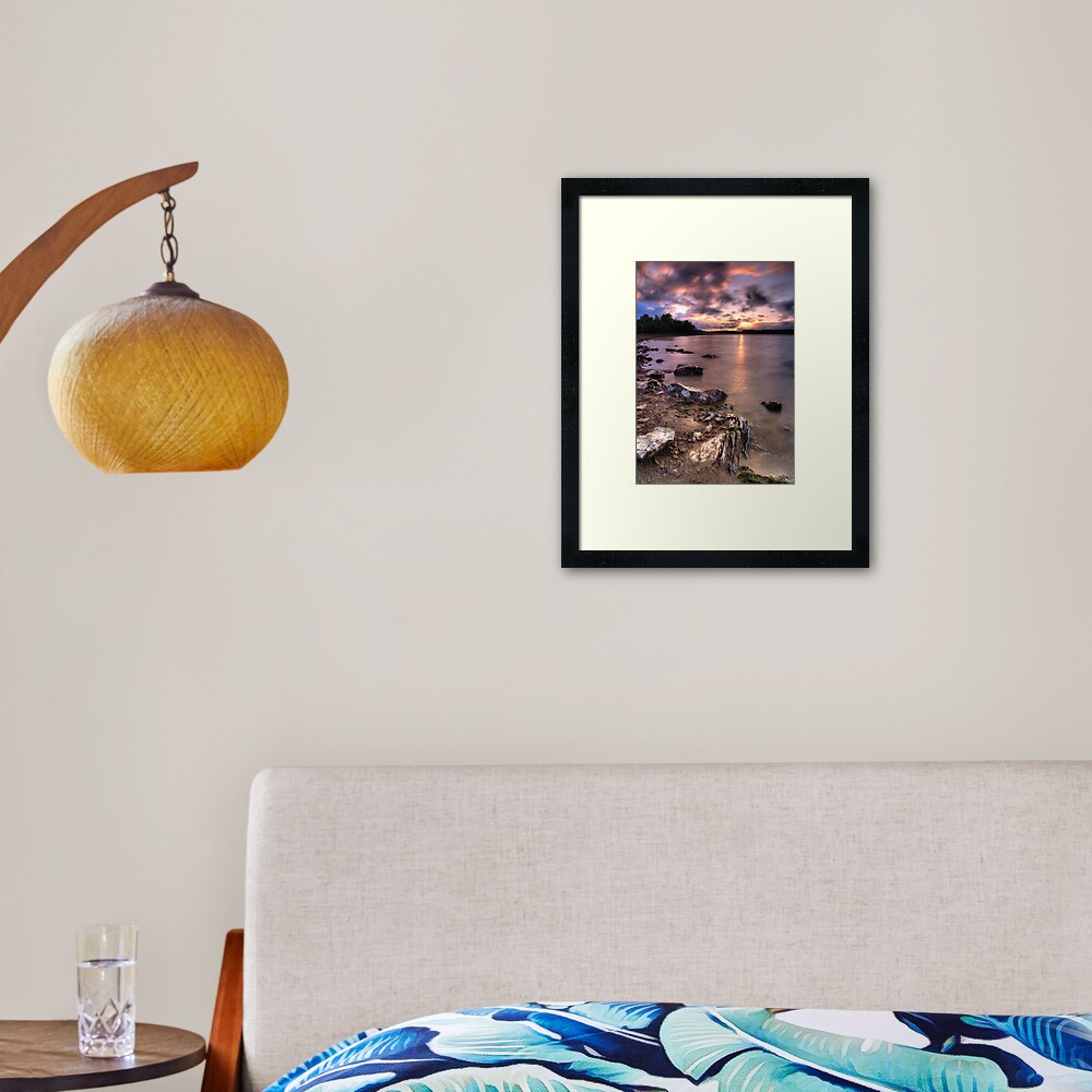 Item preview, Framed Art Print designed and sold by tontoshorse.