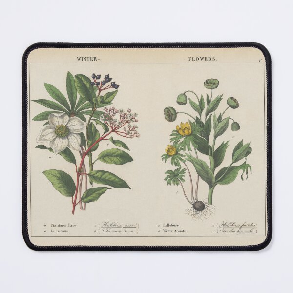 Item preview, Vintage Botanical Winter Flowers designed and sold by newnouveau.