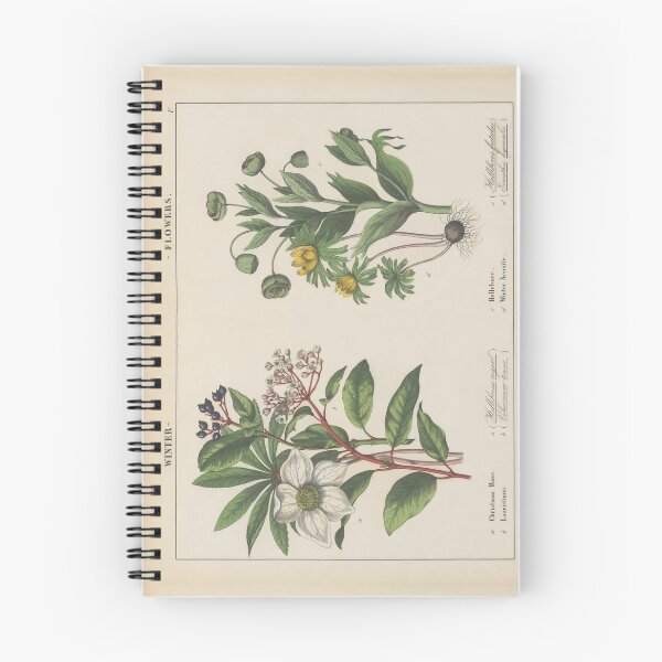 Item preview, Vintage Botanical Winter Flowers designed and sold by newnouveau.