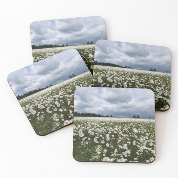 Item preview, A field of daisies in bloom designed and sold by Claude Laprise.