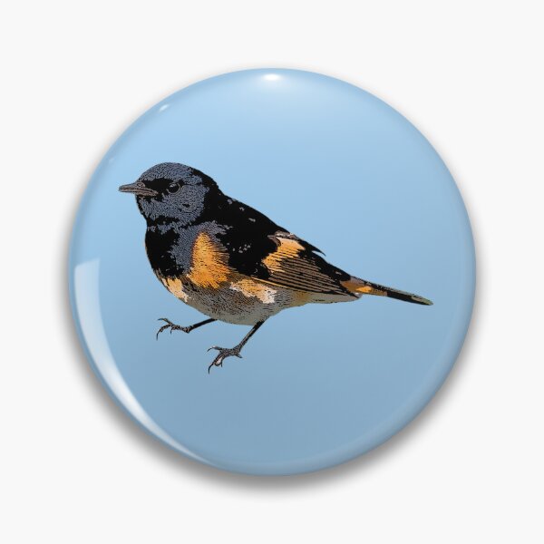 Item preview, American Redstart Color Design  designed and sold by designsasstultd.