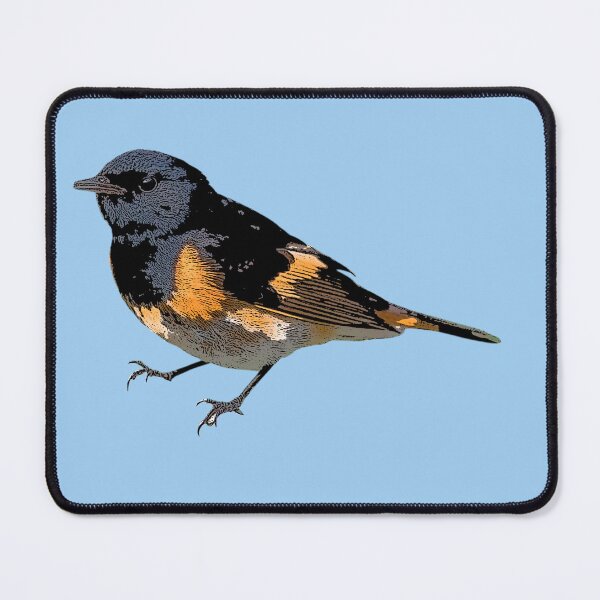 Item preview, American Redstart Color Design  designed and sold by designsasstultd.