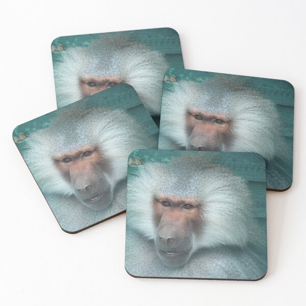 Item preview, Baboon designed and sold by Zoozwear Apparel.