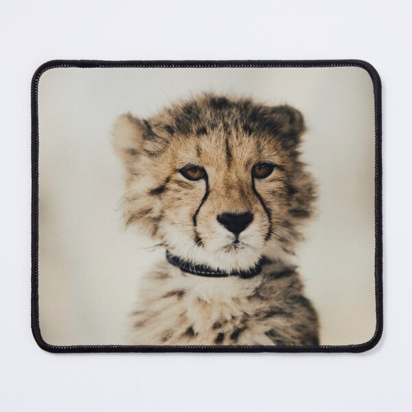 Item preview, Cheetah Cub designed and sold by Zoozwear Apparel.